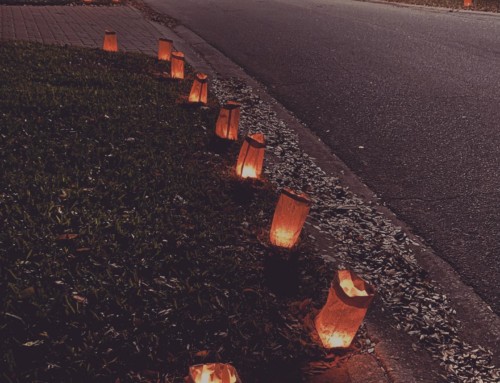 Luminaries in Carrollwood